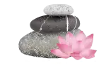 Massage Thaï Lille – Institut de massage Thaïlandais et bien être à Lille Logo